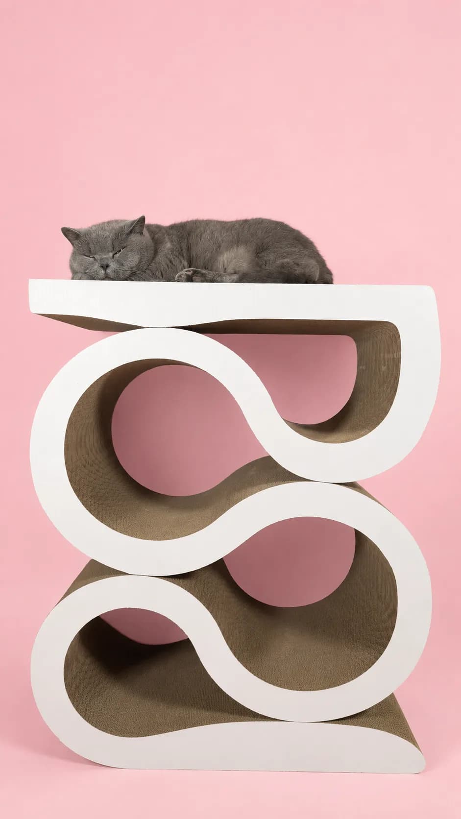 5-Level Cat Scratcher