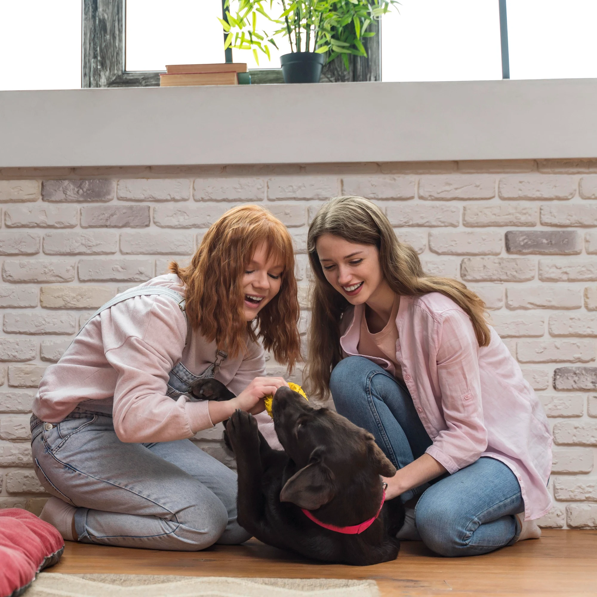 Two friends petting a happy dog at home
