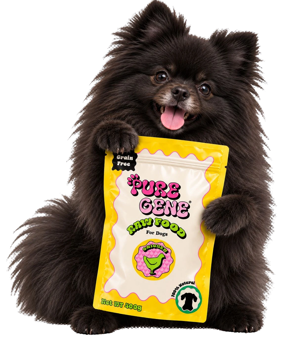 Dog holding a PureGene raw food package